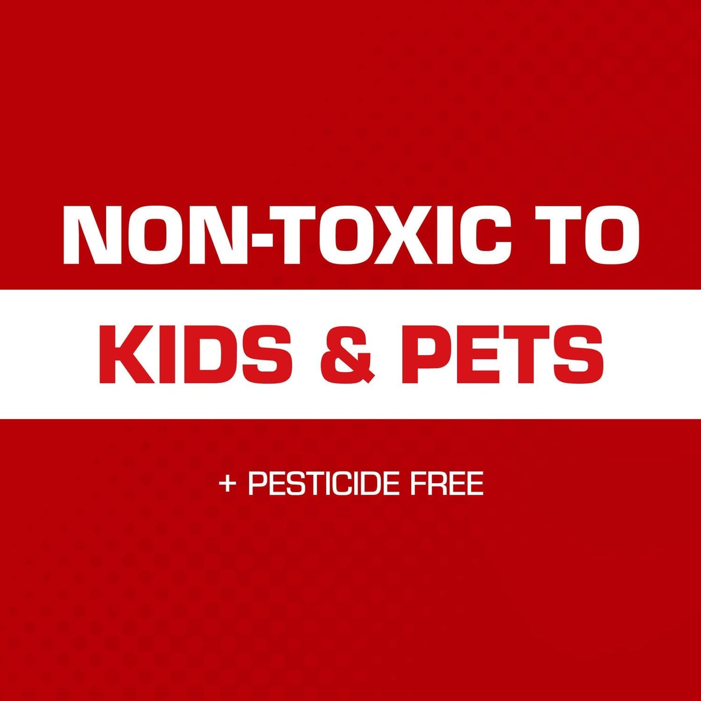 Tomcat Glue Traps Mouse Size with Eugenol for Enhanced Stickiness for Mice, Cockroaches, and Spiders, 6 Traps