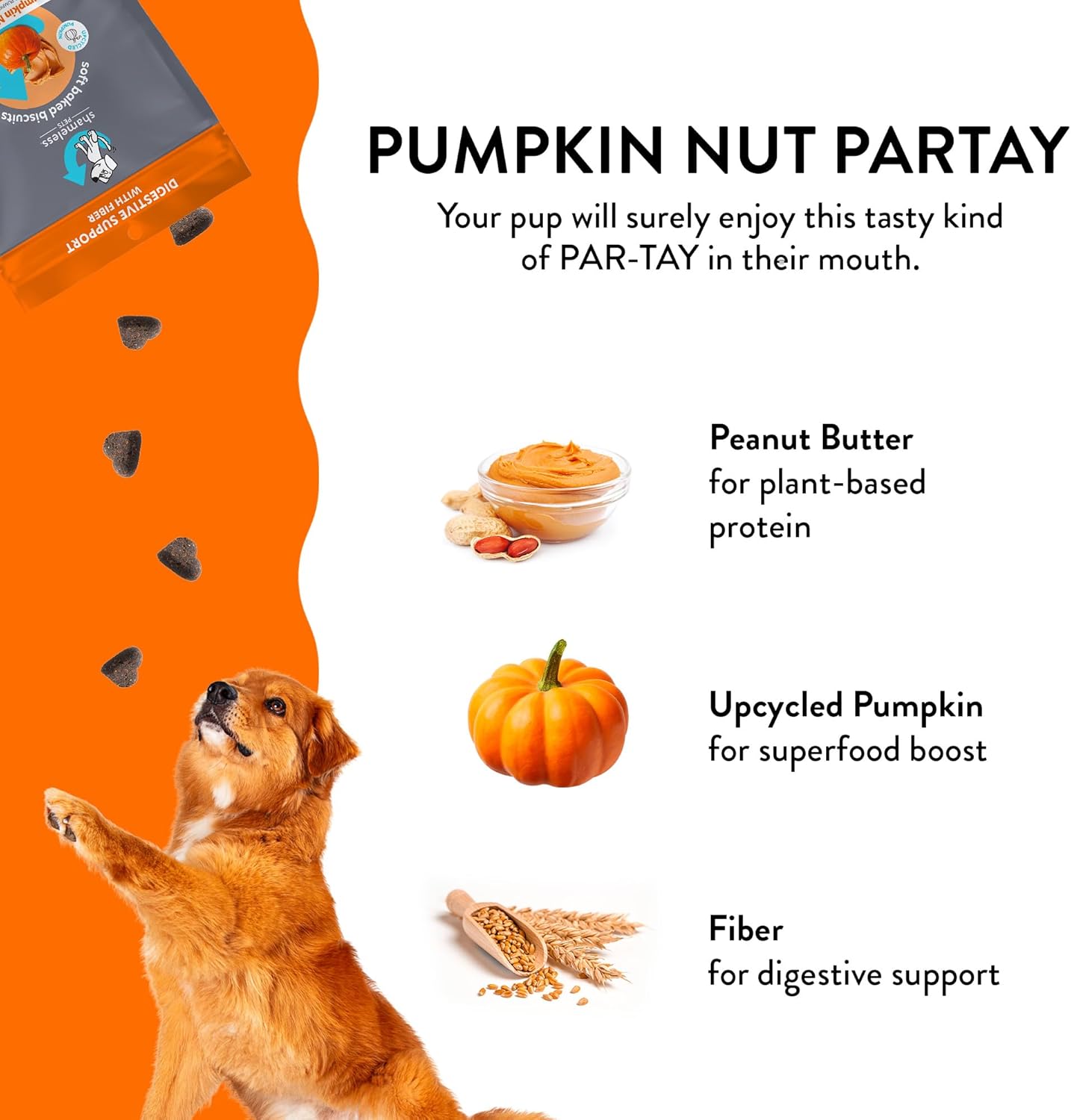 Shameless Pets Soft-Baked Pumpkin Nut Partay Dog Treats - Natural & Healthy Dog Chews for Digestive Support with Fiber - Baked & Made in USA, Grain, Corn & Soy Free - 3-Pack