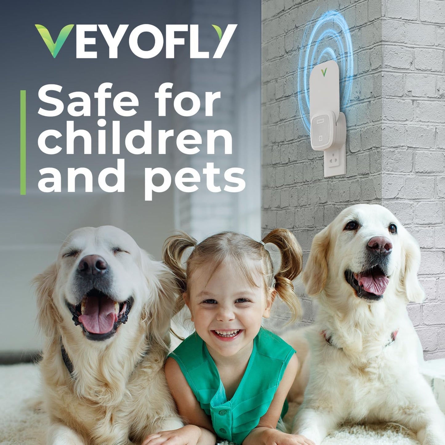 VEYOFLY Fly Trap Indoor, Fruit Fly Traps for Indoors Flying Insect (2 Device + 6 Refills) Gnat Traps for House Indoor, Bug Zapper Indoor, Gnat Killer Catcher & Fruit Fly Killer Light Plug in