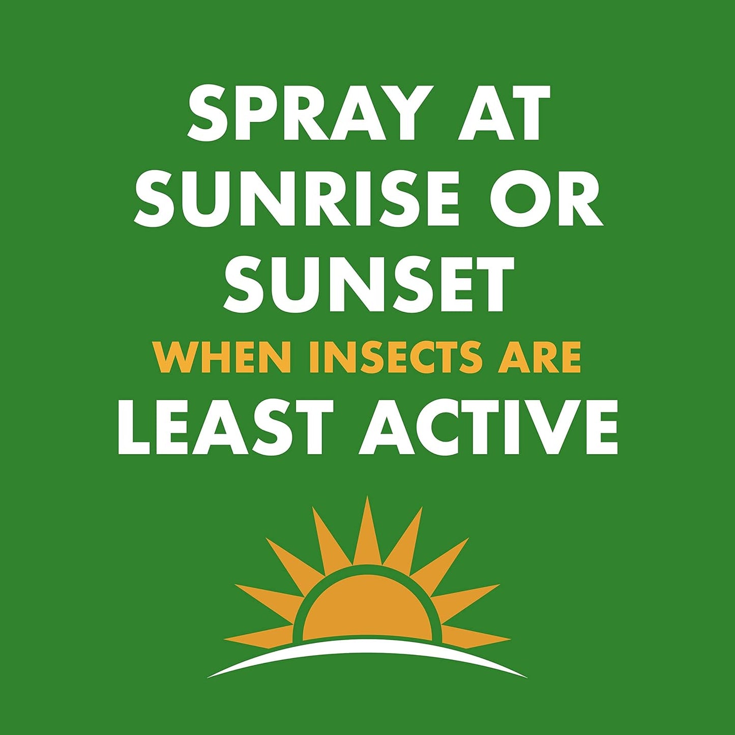 Spectracide Wasp & Hornet Killer Aerosol Kills Wasps, Hornets And Yellow Jackets On Contact & Eliminates The Nest, 12 Pack