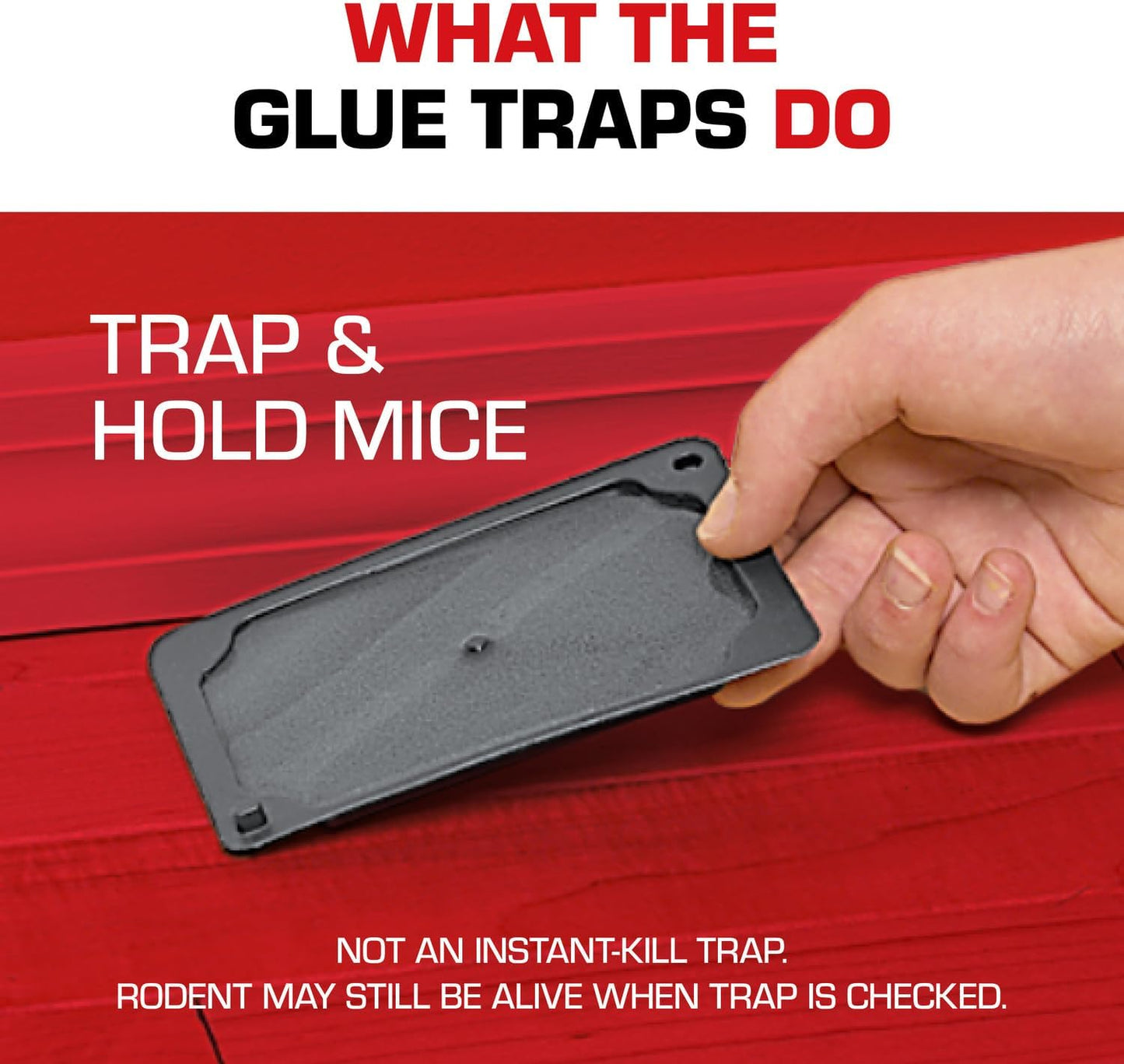 Tomcat Glue Traps Mouse Size with Eugenol for Enhanced Stickiness for Mice, Cockroaches, and Spiders, 6 Traps
