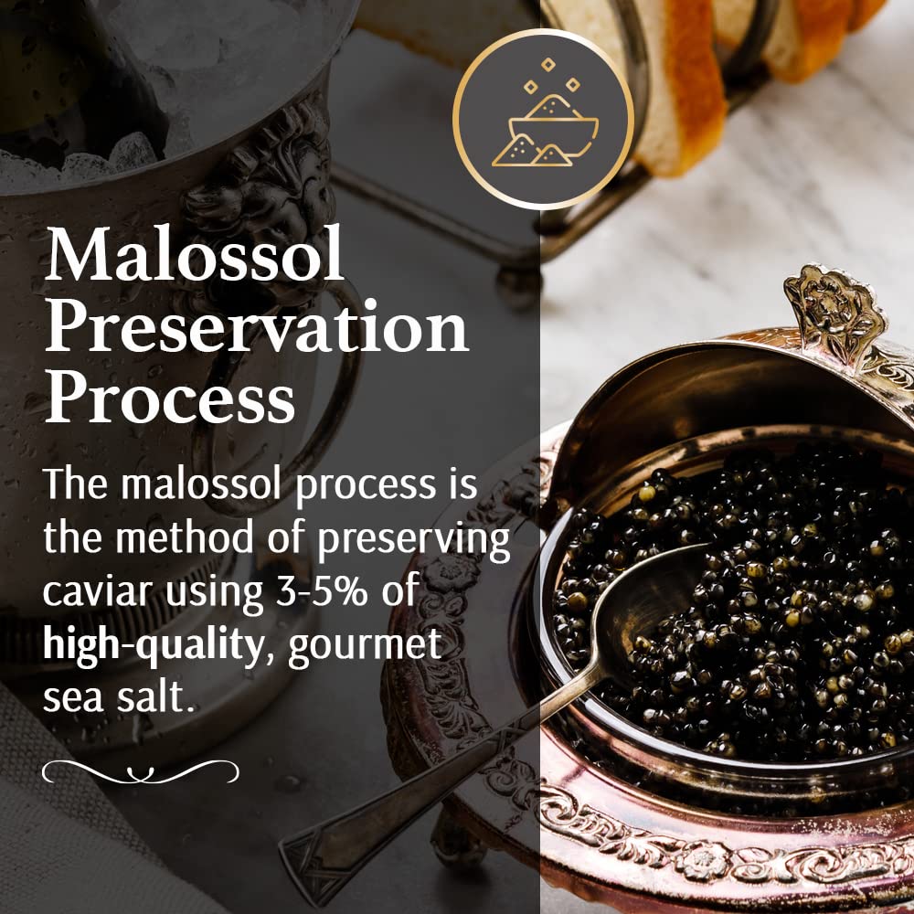 OLMA Caviar Taster Gift Set - 4 oz (112g) of Caviar, Includes 8 Varieties of Caviar Fish Roe (Beluga Hybrid, Osetra, Kaluga Royal, Hackleback, & more), Mini Blinis, Creme Fraiche & Serving Spoon