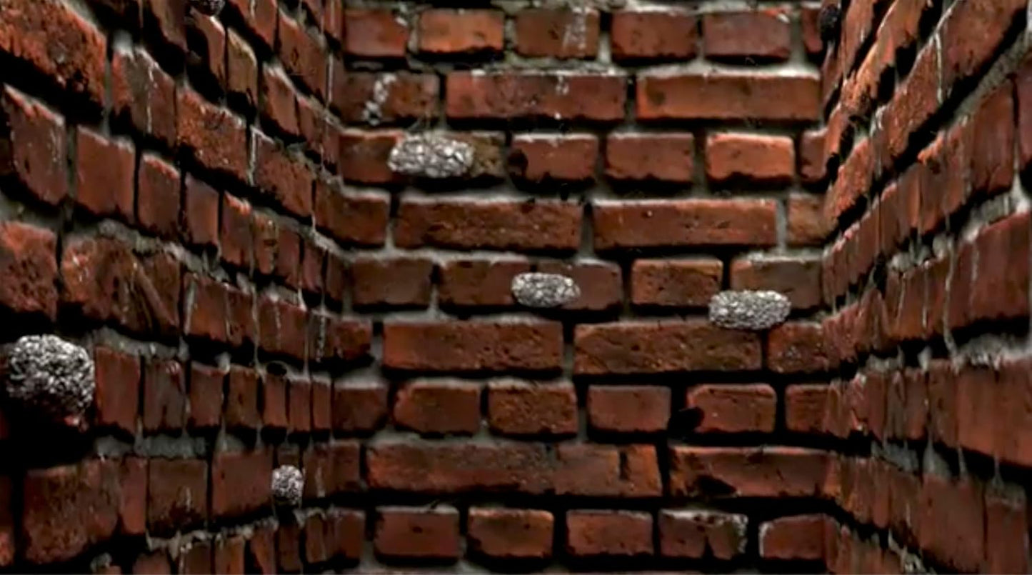 The Creosote Sweeping Log (CSL) with Bonus Ignite-O Fire Starter - Chimney Cleaner for Fireplaces and Woodstoves - Non-Toxic and Easy Cleaning Firelog