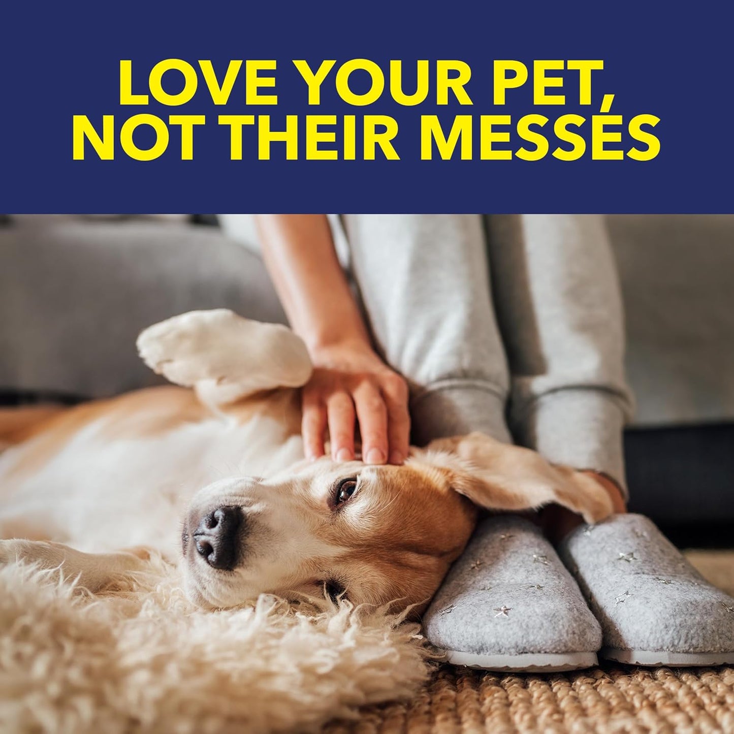 OxiClean Carpet and Rug Cleaner, Pet Stain and Odor Remover Spray, 24 fl oz