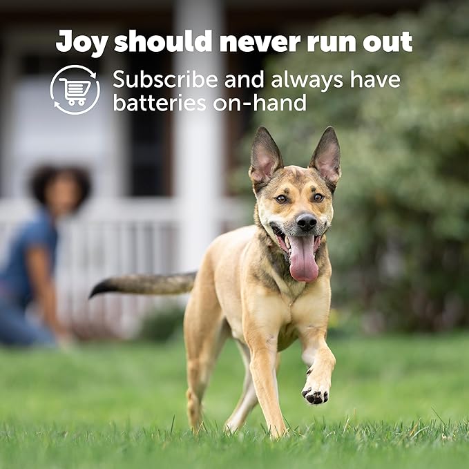 PetSafe Dog Collar Batteries (2 Pack) Dog Collar Battery Waterproof Lithium Metal Product, Rfa-67d-11