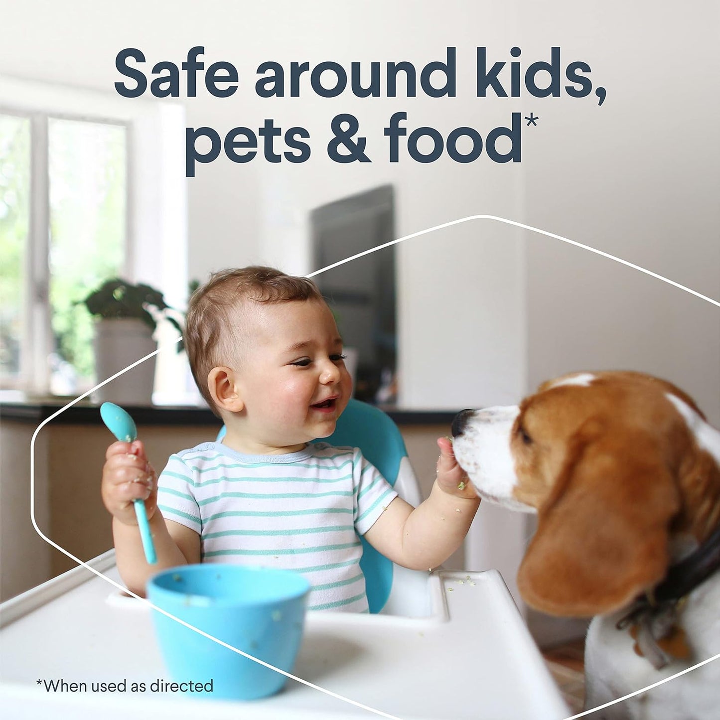 Clorox Free & Clear Disinfecting Mist, Household Essentials, 1 Spray Bottle and 1 Refill, 14 Fl Oz Each