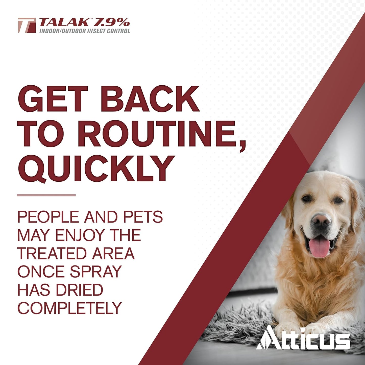 Atticus Talak 7.9% Indoor/Outdoor Insect Control - Bifenthrin Concentrate (32 Ounce)