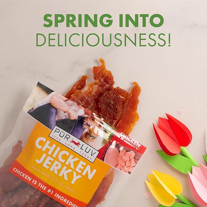 Dog Treats, Chicken Jerky for Dogs, Made with 100% Real Chicken Breast, 16 Ounces, Healthy, Easily Digestible, Long-Lasting, High Protein Dog Treat, Satisfies Dog's Urge to Chew (Pack of 1)