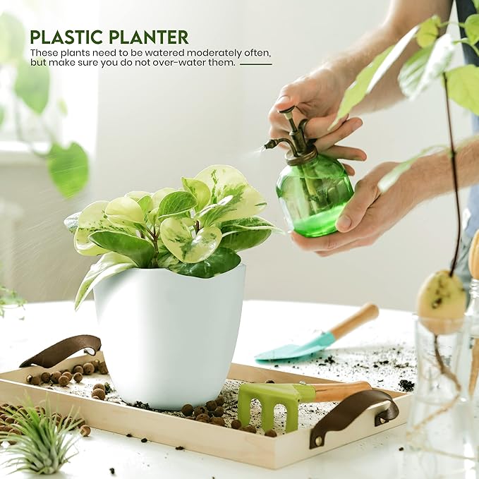 Utopia Home - Plant Pots Indoor with Drainage - 7/6.6/6/5.3/4.8 Inches Garden Flower Pots for Indoor Planter - 5 Pack White Plastic Planters - Ideal for Stocking Stuffers or Room, Office Home Decor