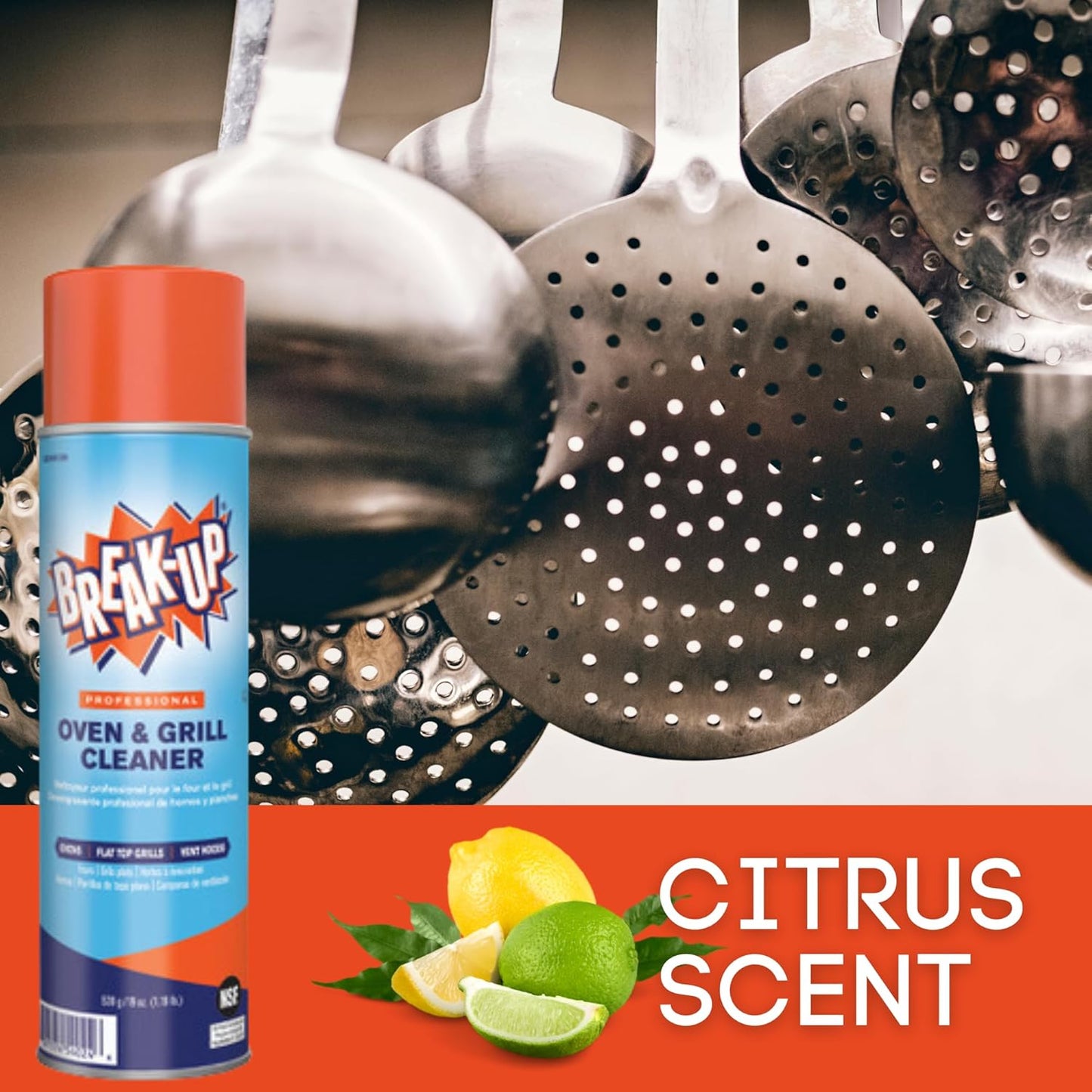 Diversey Break-Up Professional Oven & Grill Cleaner, 19 Oz. (CBD991206)