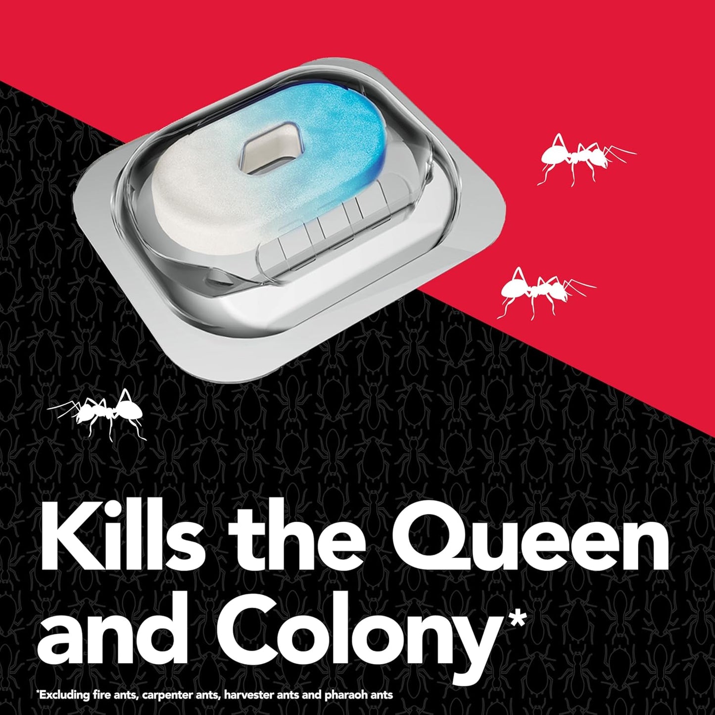 Raid Max Liquid Ant Bait; Kills Ants Where They Breed, for Indoor and Outdoor Use; 12 Bait Stations