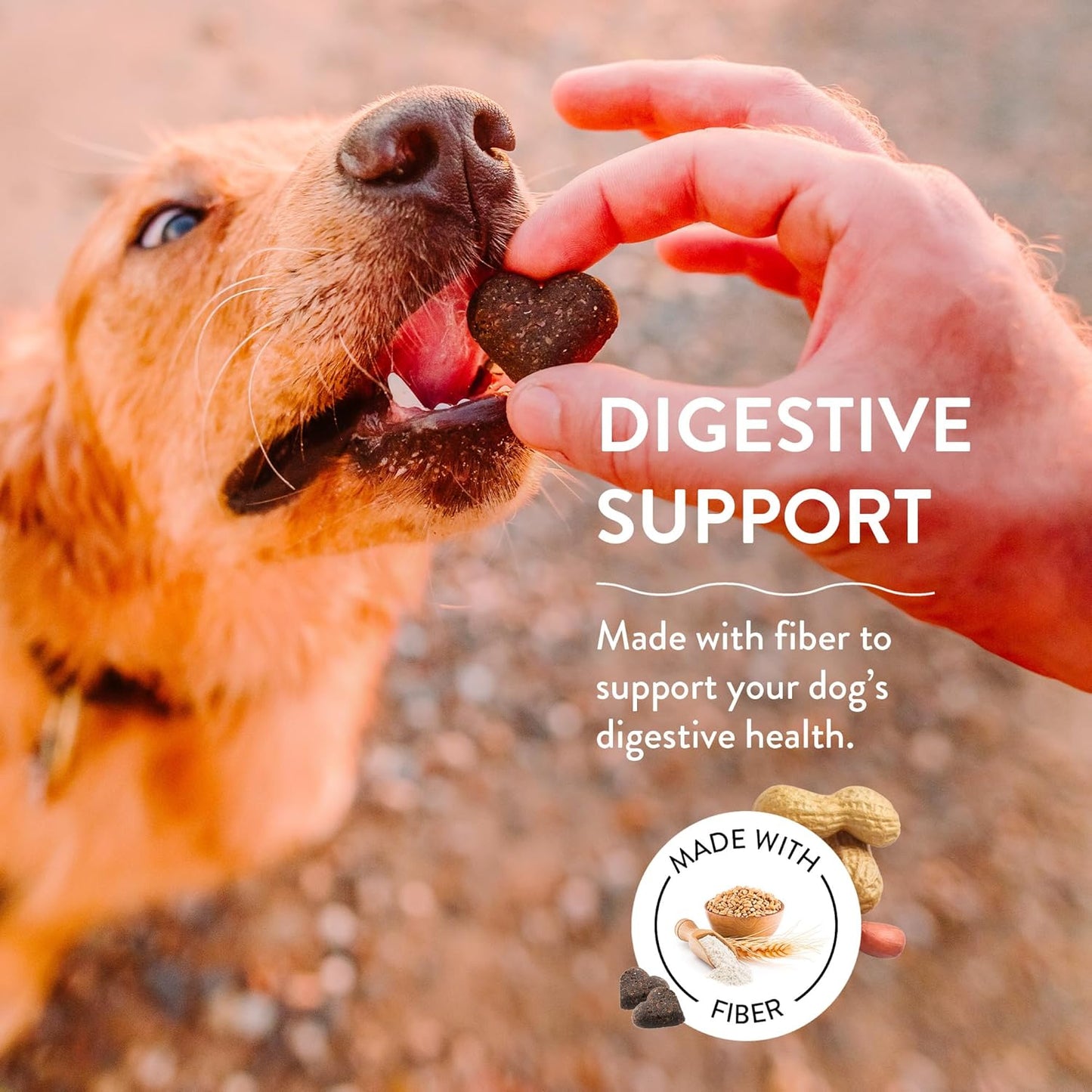 Shameless Pets Soft-Baked Pumpkin Nut Partay Dog Treats - Natural & Healthy Dog Chews for Digestive Support with Fiber - Baked & Made in USA, Grain, Corn & Soy Free - 3-Pack