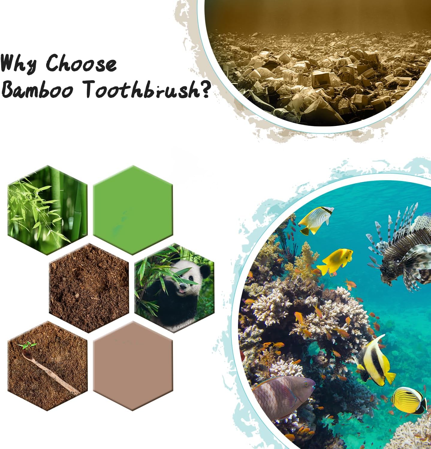 Virgin Forest 10 Count Bamboo Toothbrush, Soft Bristle for Adults, Eco Friendly Natural Wooden Toothbrushes, Vegan Organic Bamboo Travel Tooth Brush (10 Colors)