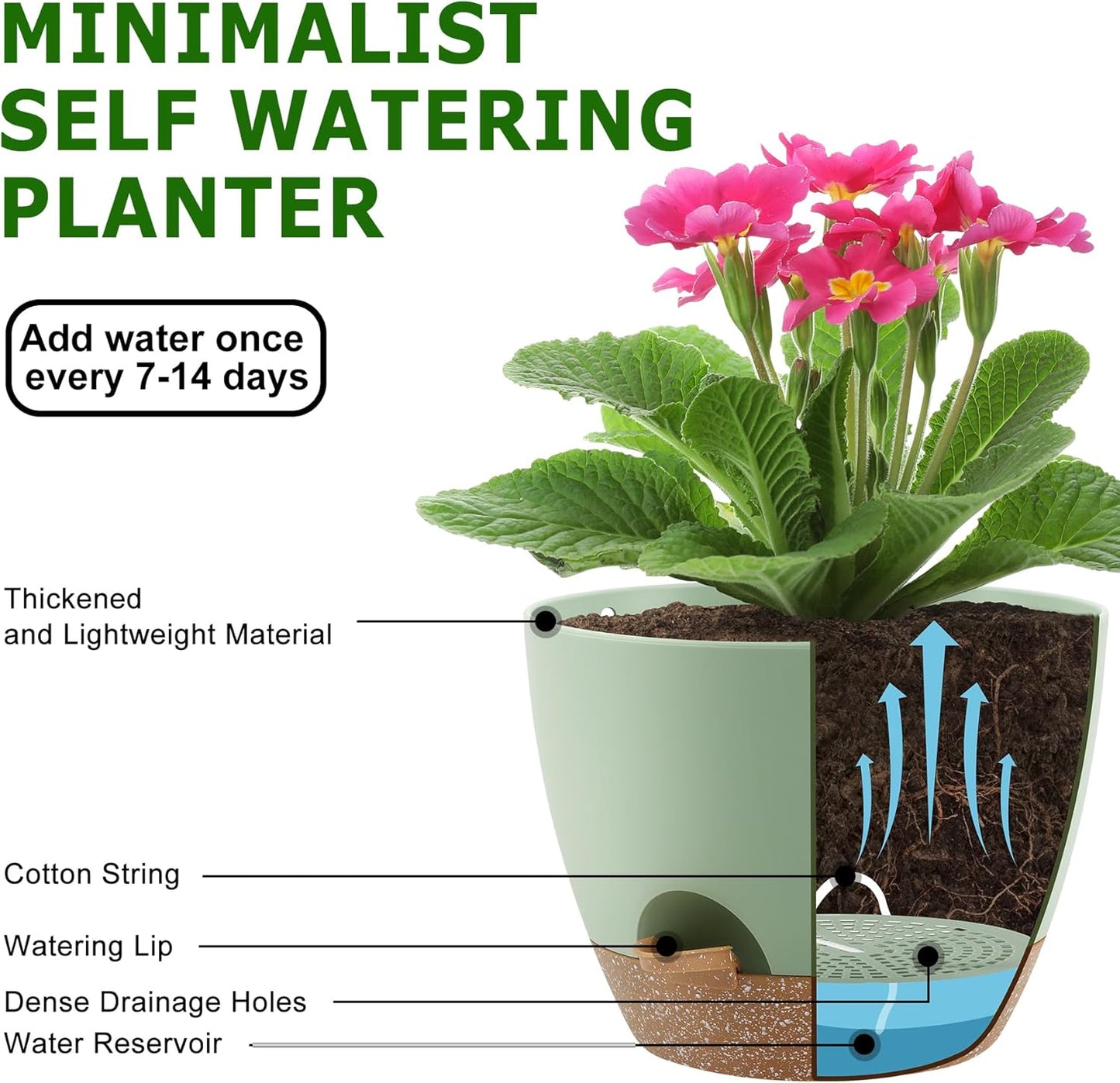 Plant Pots 10/9/8/7.5/7 Inch Self Watering Pots, Set of 5 Plastic Planters with Drainage Holes and Saucers,Plastic Flower Pots,Nursery Planting Pot for Indoor Out Door Plants(Green)