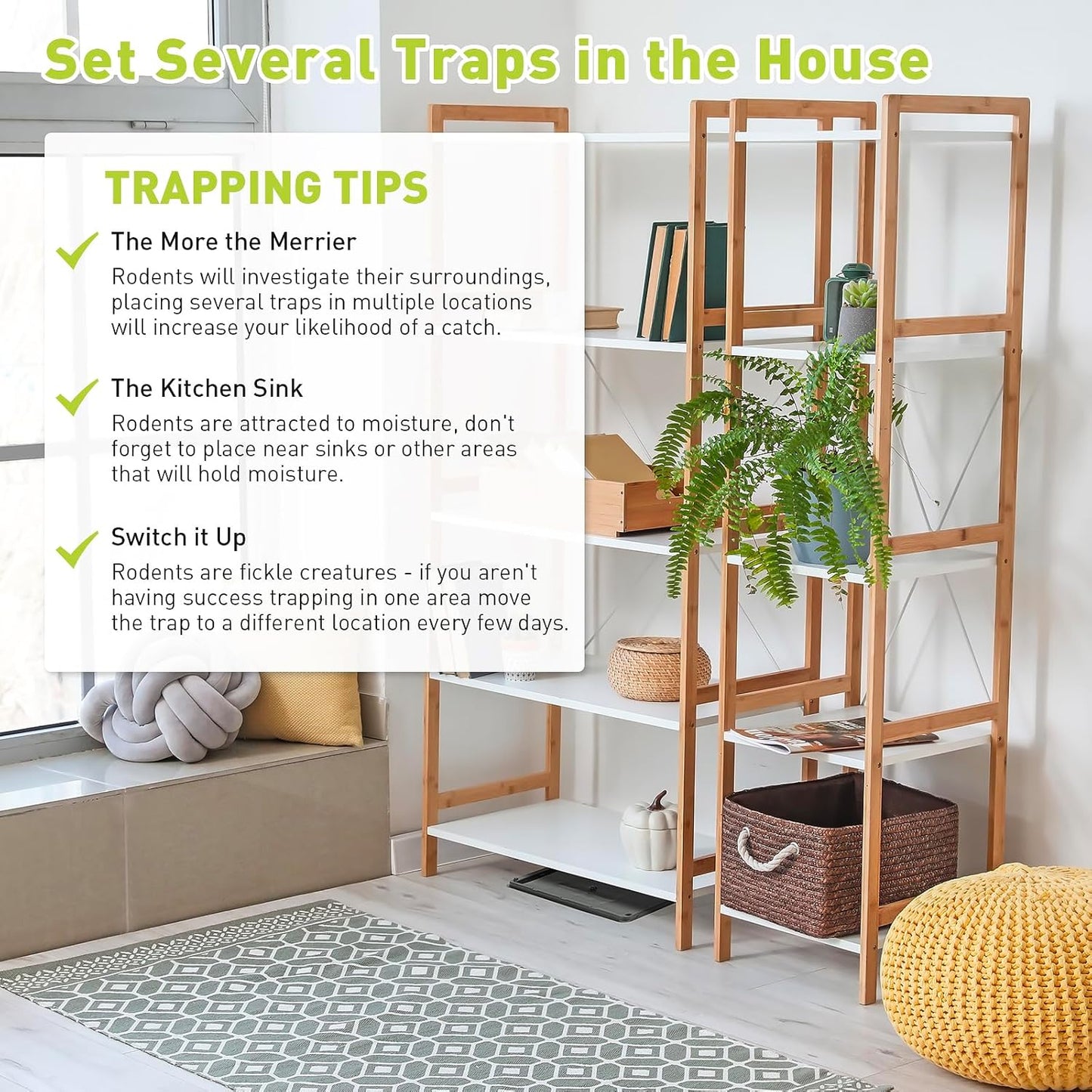 Glue Mouse Traps Indoor for Home, Rat Trap-12 Pack, Large Heavy Duty Glue Traps for Safe Home Pest Control. Pre-Scented, Non-Toxic Sticky Boards for Mice, Rats & More. Easy To Use