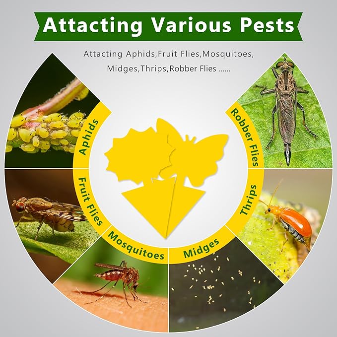 Landisun Fruit Fly Traps 48PCS Fungus Gnat-Traps for Indoor-Outdoor Yellow Fruit-Fly Sticky-Trap Plants Flying Bug Insects Traps - Cart Shape