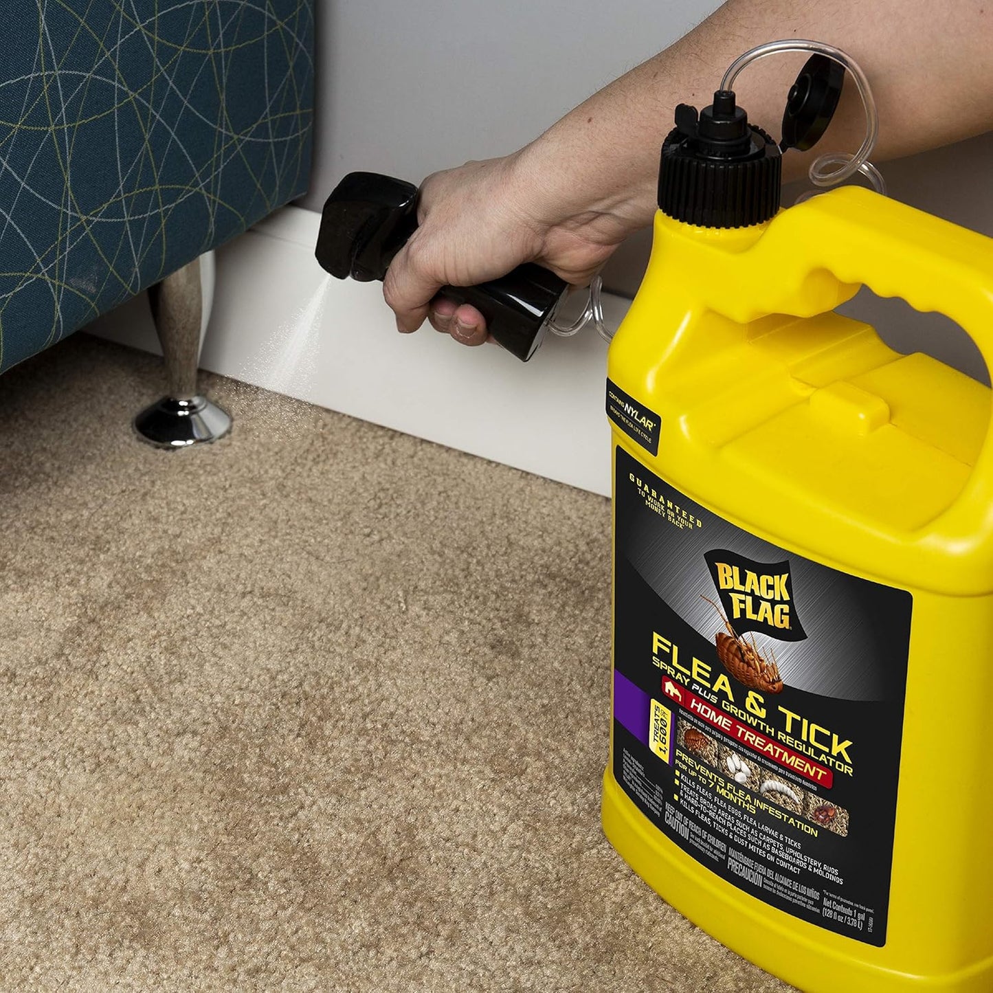 Black Flag Extreme Flea Killer Plus Growth Regulator RTU for Insects, 1-gal, 128 Oz