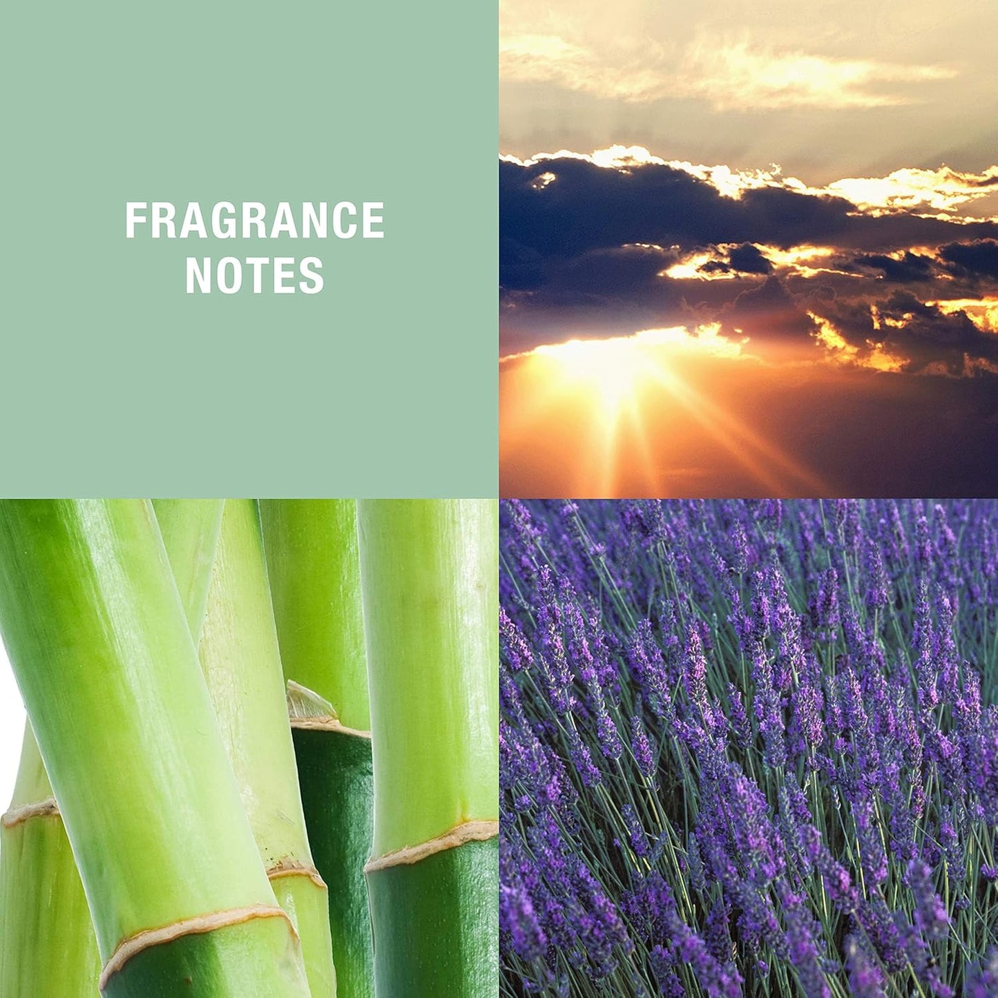 Curve Men's Cologne Fragrance Spray, Casual Cool Day or Night Scent, Curve Wave, 4.2 fl oz - Cart Shape