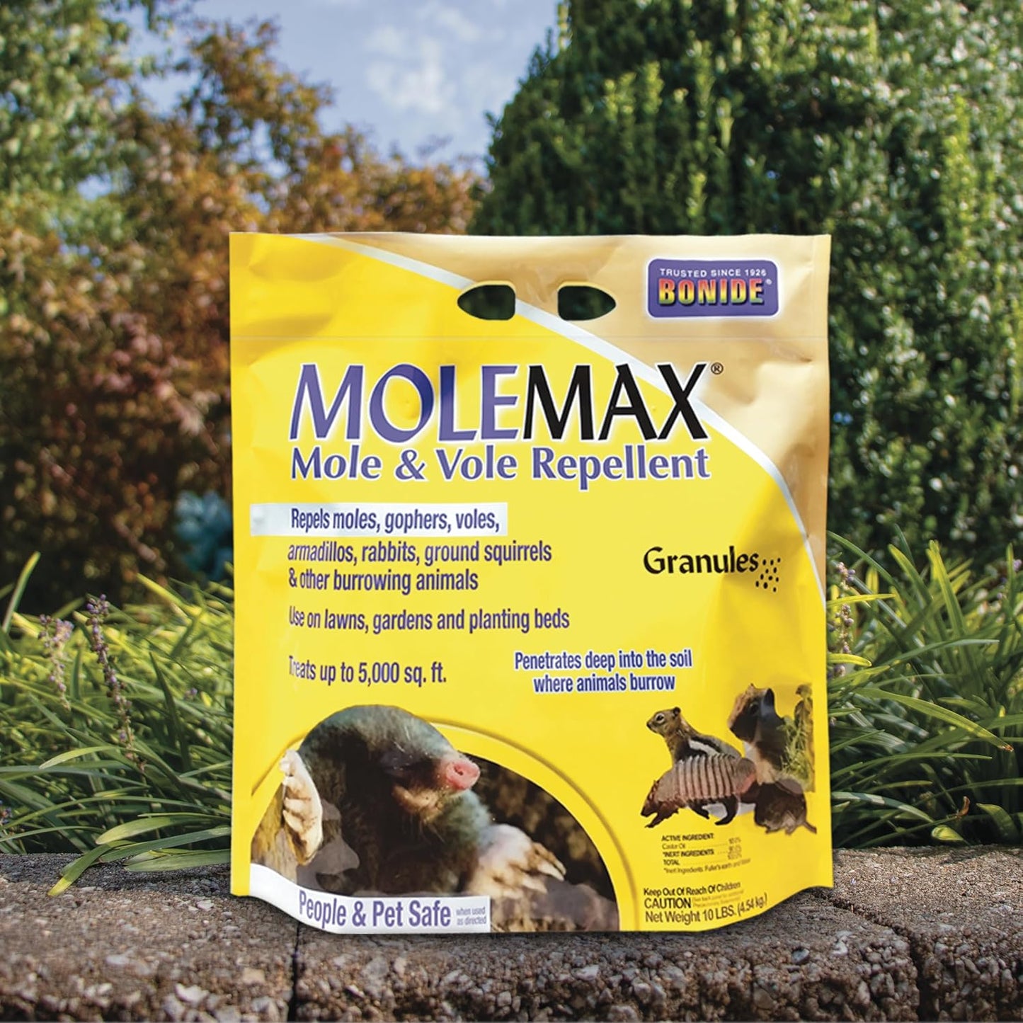 Bonide MOLEMAX Mole & Vole Repellent Granules, 10 lbs. Ready-to-Use, Outdoor Lawn & Garden Mole Control, People & Pet Safe