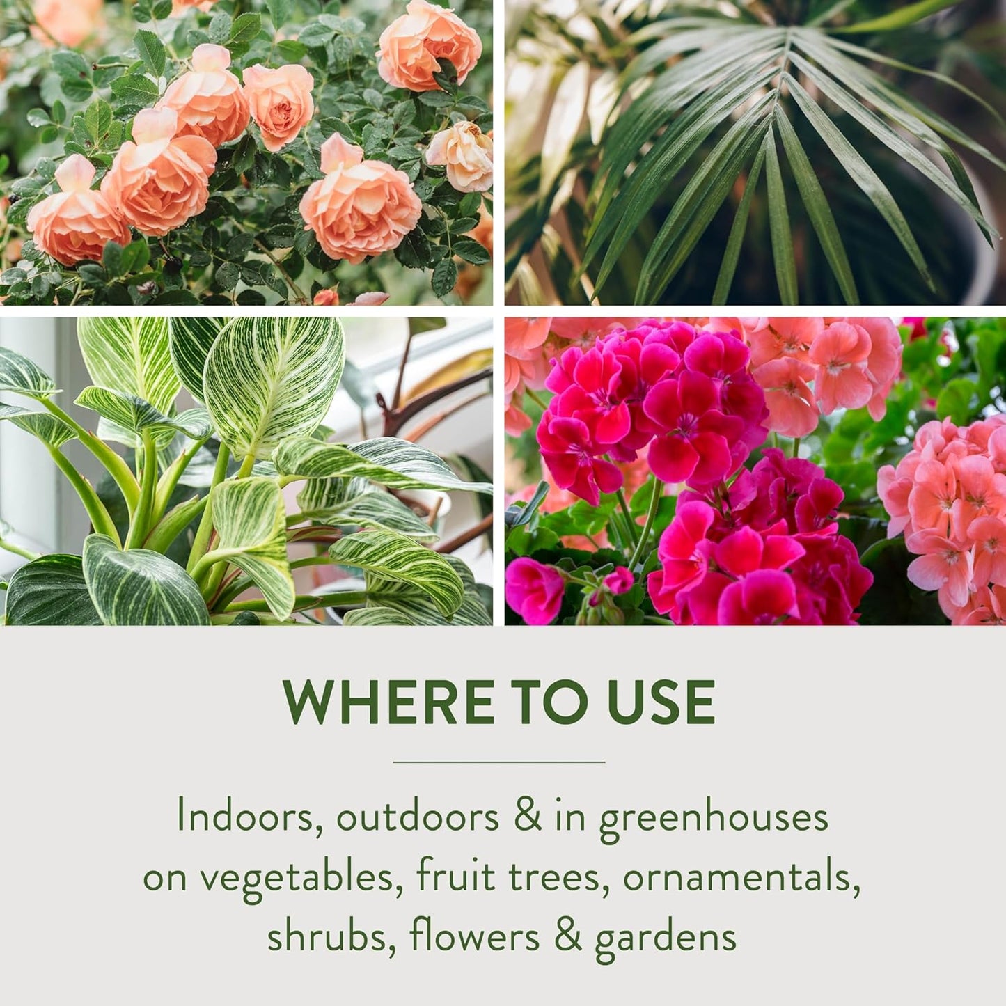 Garden Safe 32 oz. Insecticidal Soap Ready-to-Use, 1 Count (Pack of 1)