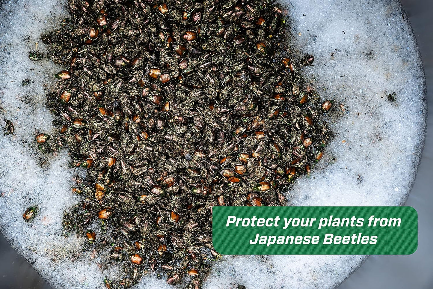 RESCUE! Japanese Beetle Trap – Reusable Bag - 2 Traps