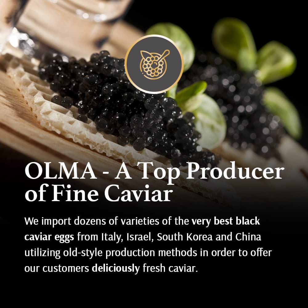 OLMA Classic Caviar Black Caviar Gift Box - Includes 2 oz of Siberian Osetra Aurora, White Sturgeon, Paddlefish, Hackleback Sturgeon Fish Roe & Mother of Pearl Serving Spoon - Overnight Delivery