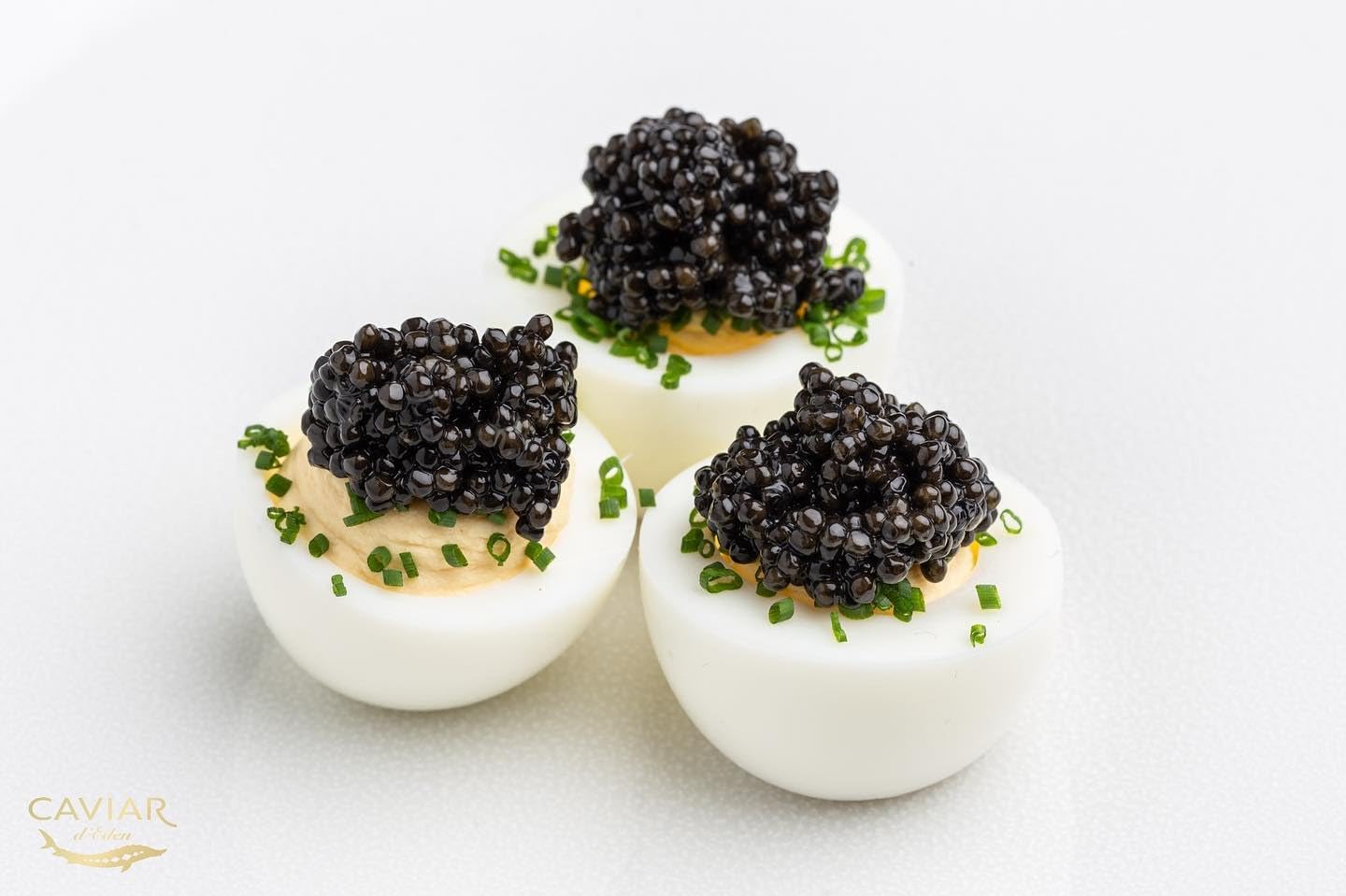 𝐁𝐄𝐒𝐓𝐒𝐄𝐋𝐋𝐄𝐑 Premium Siberian Sturgeon Royal Black Caviar - 1.1 oz - (30g) - Classical Sturgeon Malossol Sturgeon Black Roe - [SEPTEMBER 2025]