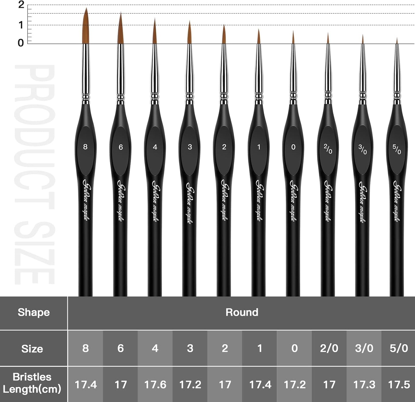 Golden Maple Detail Paint Brushes Set 10pcs Miniature Brushes for Fine Detailing & Art Painting - Acrylic, Watercolor, Oil, Models