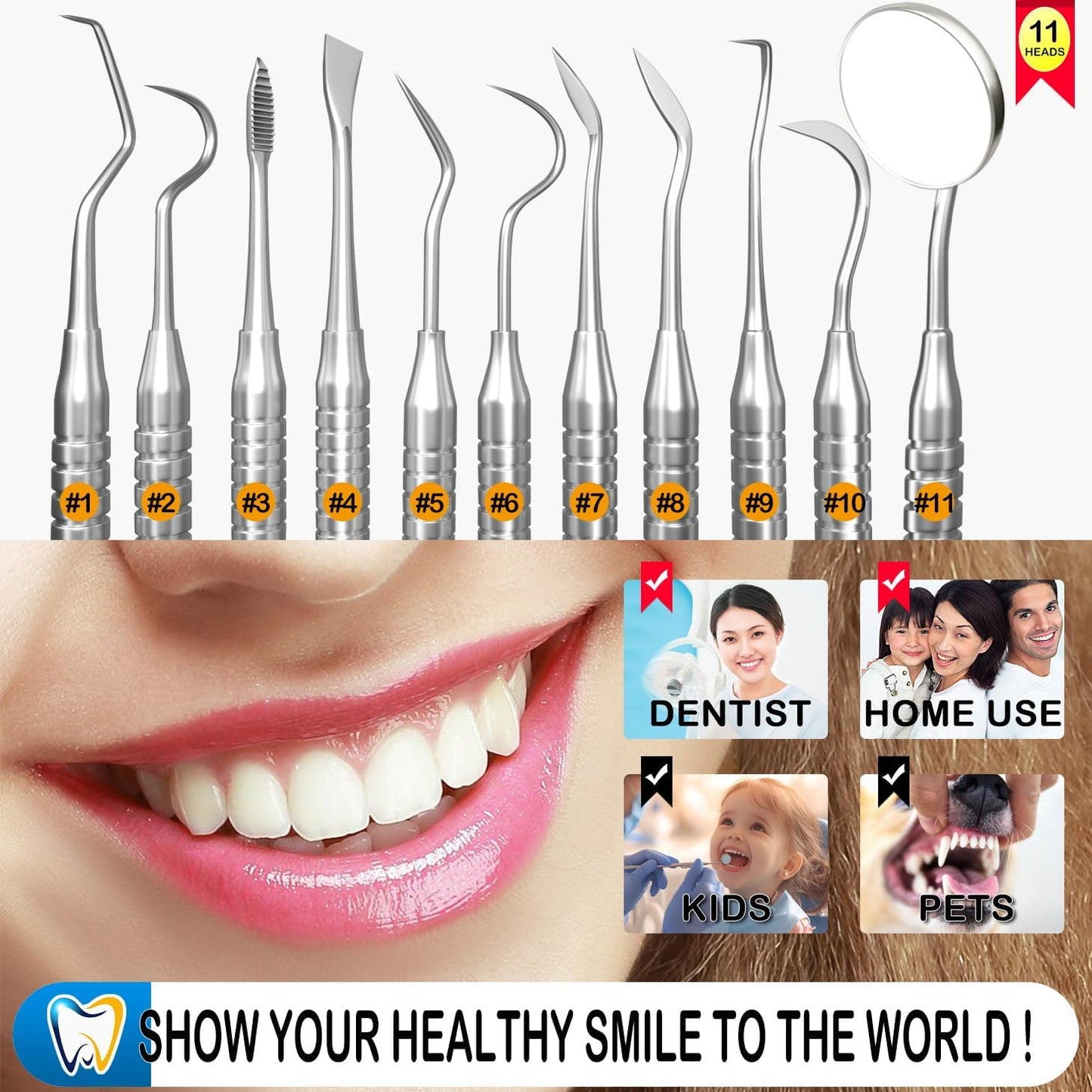 Dental Tools, Dental Pick for Teeth Cleaning, Stainless Steel Hygiene Kit with Tooth Scraper Plaque Tartar Remover - with Case