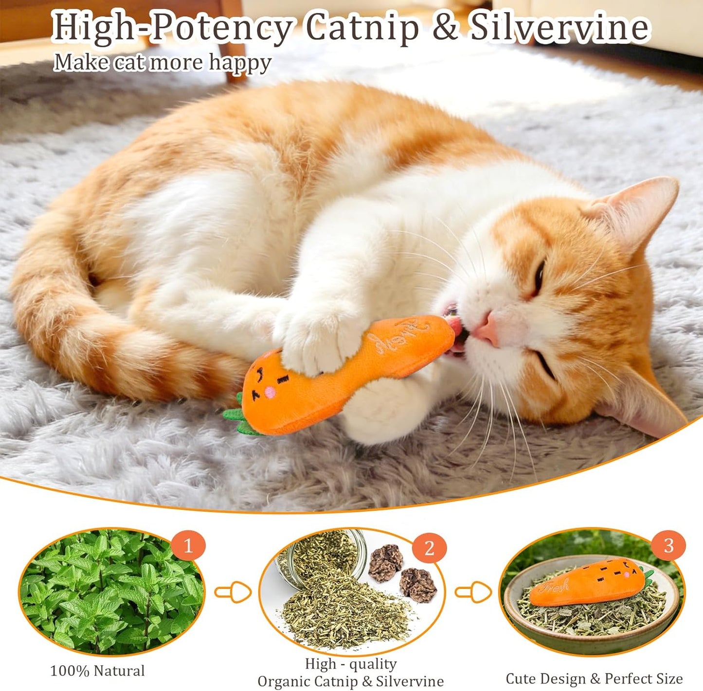 Catnip Cat Toys, Cat Nip Kitten Toy for Indoor Cats Kitty Kicker, Durable Kitten Teething Chew Toy, 5 Pack, Vegetable Shape