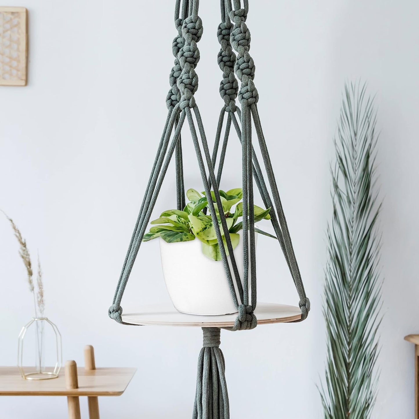 Utopia Home - Plant Pots Indoor with Drainage - 7/6.6/6/5.3/4.8 Inches Garden Flower Pots for Indoor Planter - 5 Pack White Plastic Planters - Ideal for Stocking Stuffers or Room, Office Home Decor