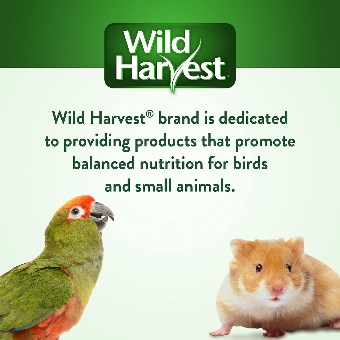 Wild Harvest Daily Blend Nutrition Diet Parakeet, Canary And Finch, Bird Food, 5 Pounds