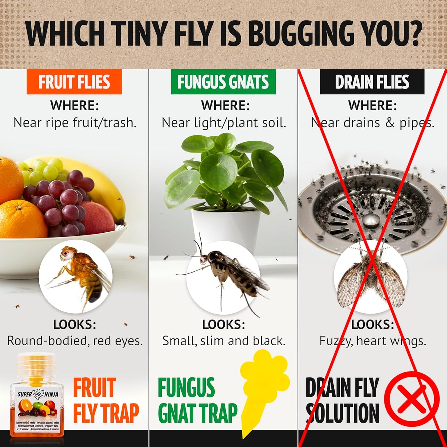 Super Ninja Fruit Fly Traps for Indoors - 4 Pack, Highly Effective Fruit Fly Catcher for Indoor Use for Home & Kitchen, Up to 3 Weeks of Performance per Bottle, Kid & Pet Friendly